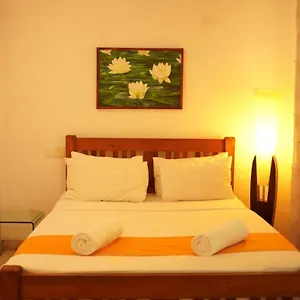 https://udf-nature-villa.kandyhotelsnow.com