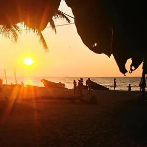 https://grace-homestay.kandyhotelsnow.com